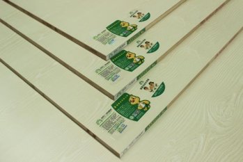 生態(tài)板一般多少錢(qián)？哪種生態(tài)板好？