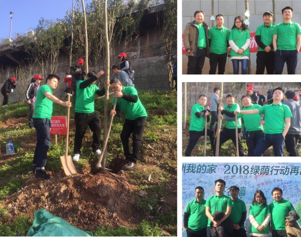 新西蘭智閣板材 “新西蘭智閣板材”